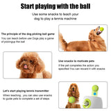 Smart Interactive Dog Ball Launcher